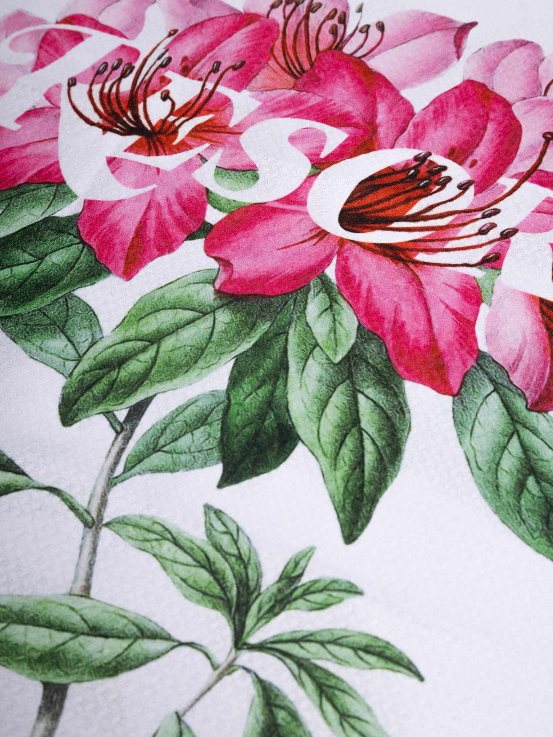 RESORT AZALEAS MAGNETIC TOWEL